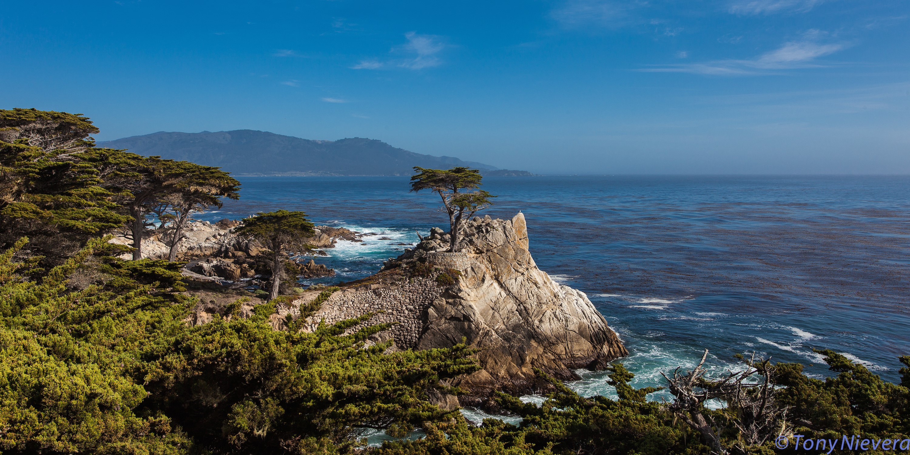 Standing Tall, Lone Cypress, Monterey, California. Love