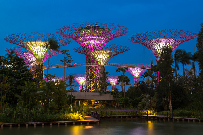 SuperTree Grove in Singapore
