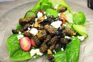 Street-Food-Around-the-World-Africa-Fried-Mopani-Worms