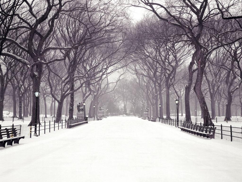 New-York-Central-Park-