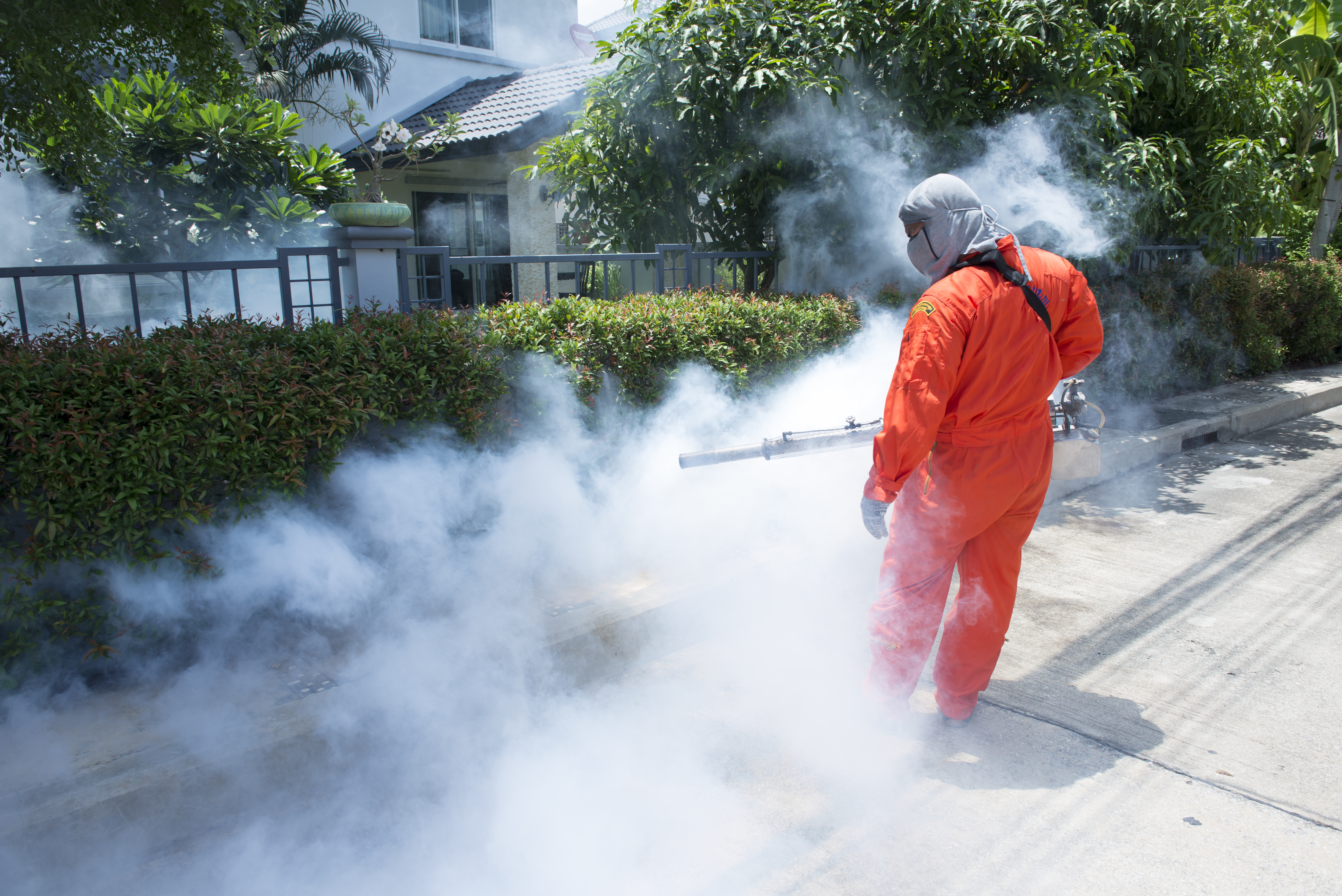 Workers are fogging for dengue control.