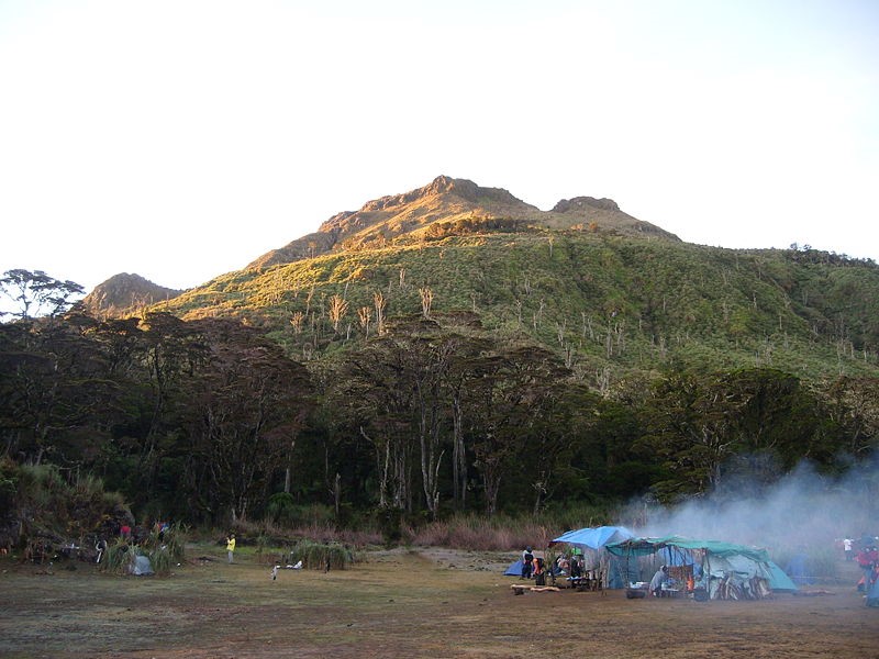 mt-apo-clearing