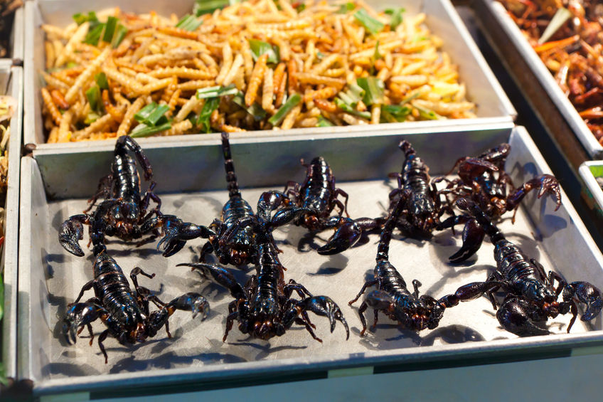 Scorpion Fried Sell On Khaosan Road Bangkok Windowseat Ph