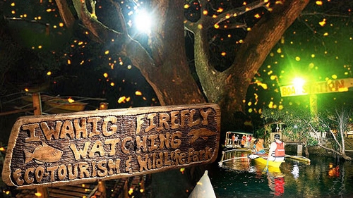 The Best Places For Firefly Watching In The Philippines 9337