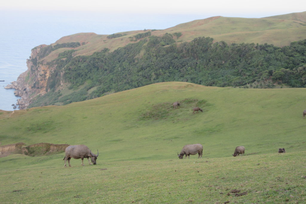 batanes tourist requirements 2022