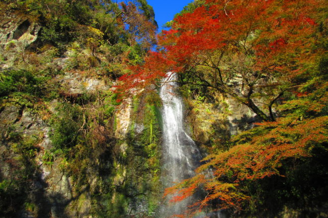 Autumn Spots in Kansai, Japan