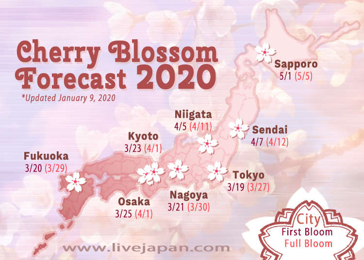 Japan’s Sakura Season Will Come a Little Earlier Than Expected This 2020