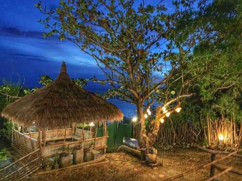 Tree House by the ocean with pool - view