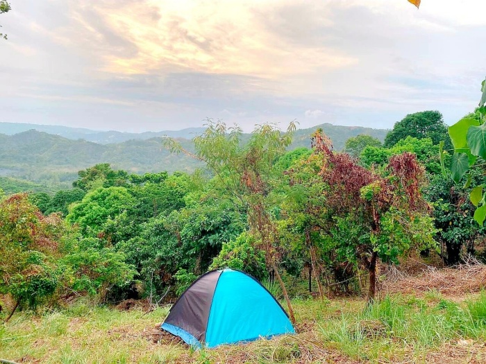 Bamboo Hill Nature tent