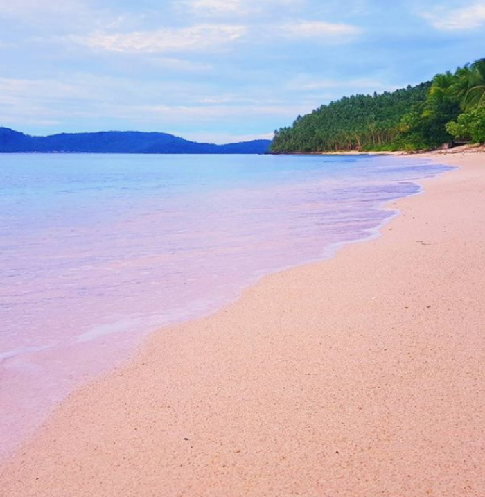 pink beach Northern Samar