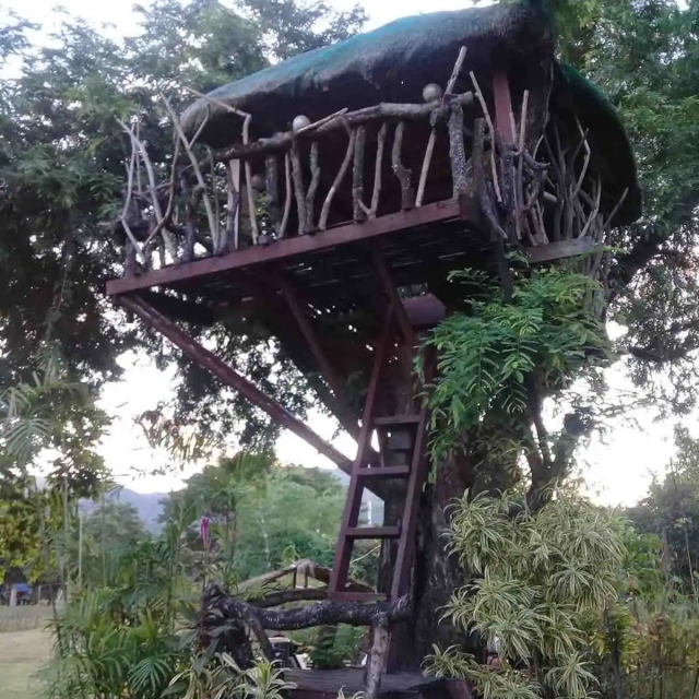 Nova Scotia Private Resort treehouse morning