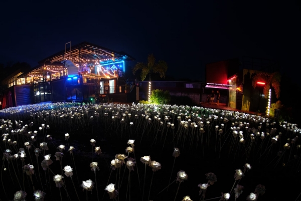 5000 LED Roses at Janna's Place